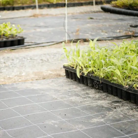 Premium Grade Weedmat - 110gsm