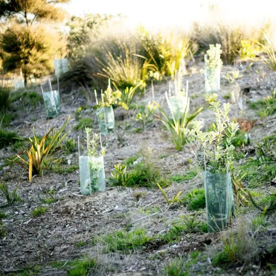 Plant Guards