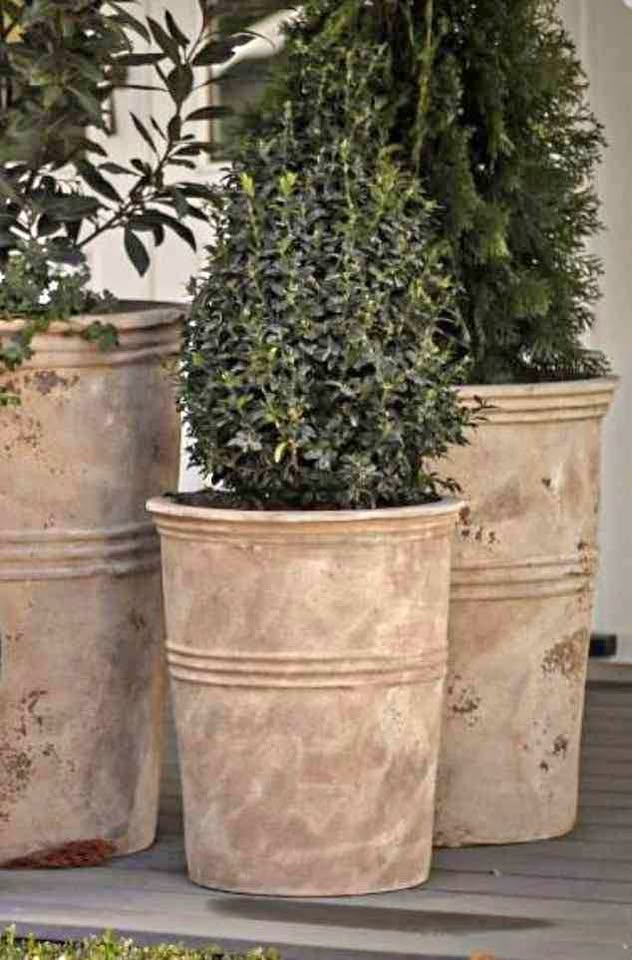 POTS