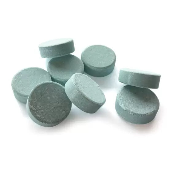 Tree & Shrub Slow Release Fertiliser Tablets
