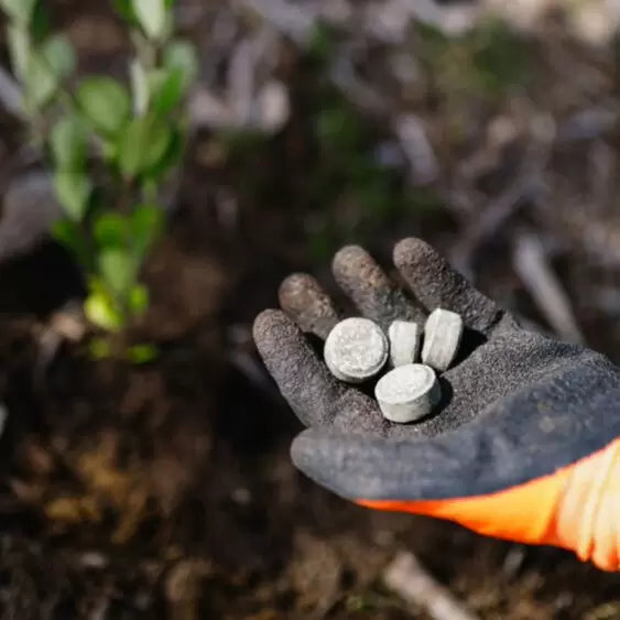 Tree & Shrub Slow Release Fertiliser Tablets