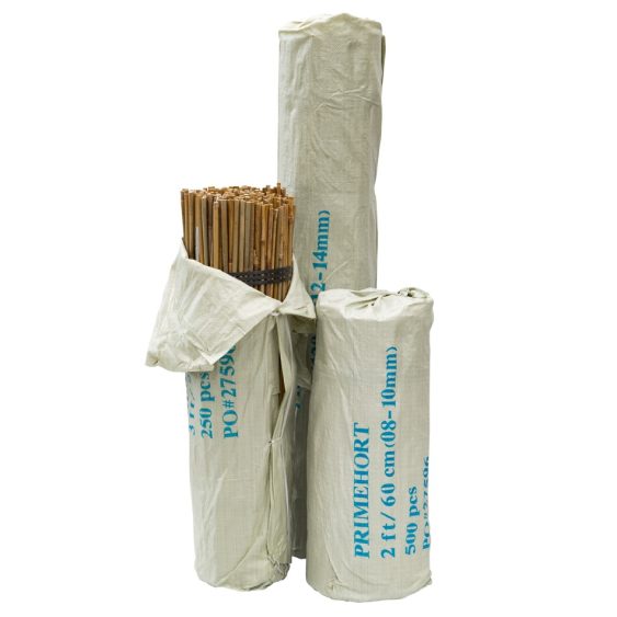 Bamboo Cane
