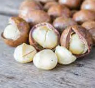 Macadamia Tetraphylla - Macadamia