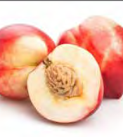 Nectarine Queen Giant - Nectarine