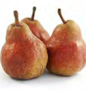 Pear ‘Red Bartlett’ - Fruiting Pear