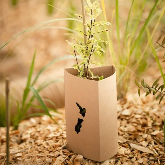 Biodegradable Plant Guards