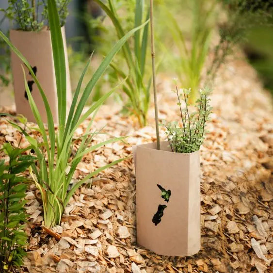 Biodegradable Plant Guards