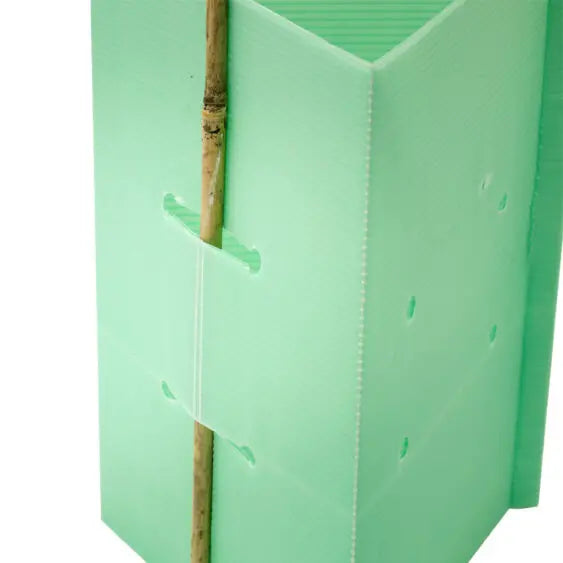 Green Corflute Triangular Tree Guard