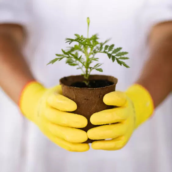 The Gardener Latex Coloured Garden Gloves