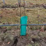 Tree Spray Guard Tubes