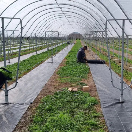 Premium Grade Weedmat - 110gsm