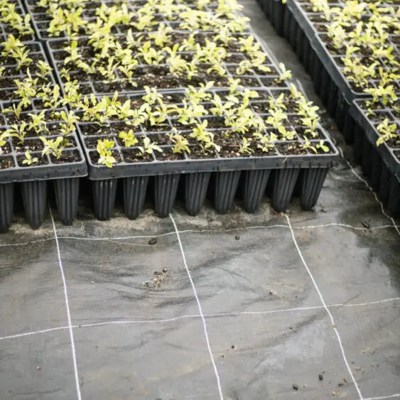 Premium Grade Weedmat - 110gsm