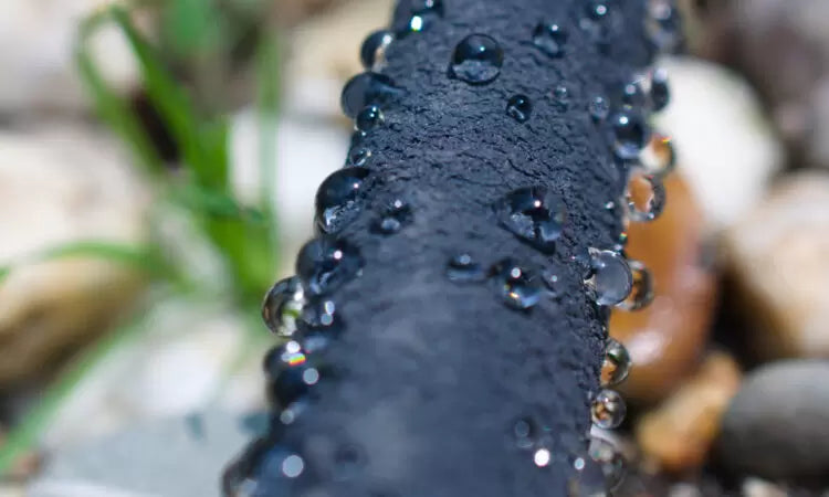 The Gardener Weeper Soak Hose with Fittings